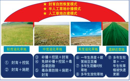 西北內(nèi)陸區(qū)極端環(huán)境生態(tài)系統(tǒng)修復(fù)理論與技術(shù)成果推介